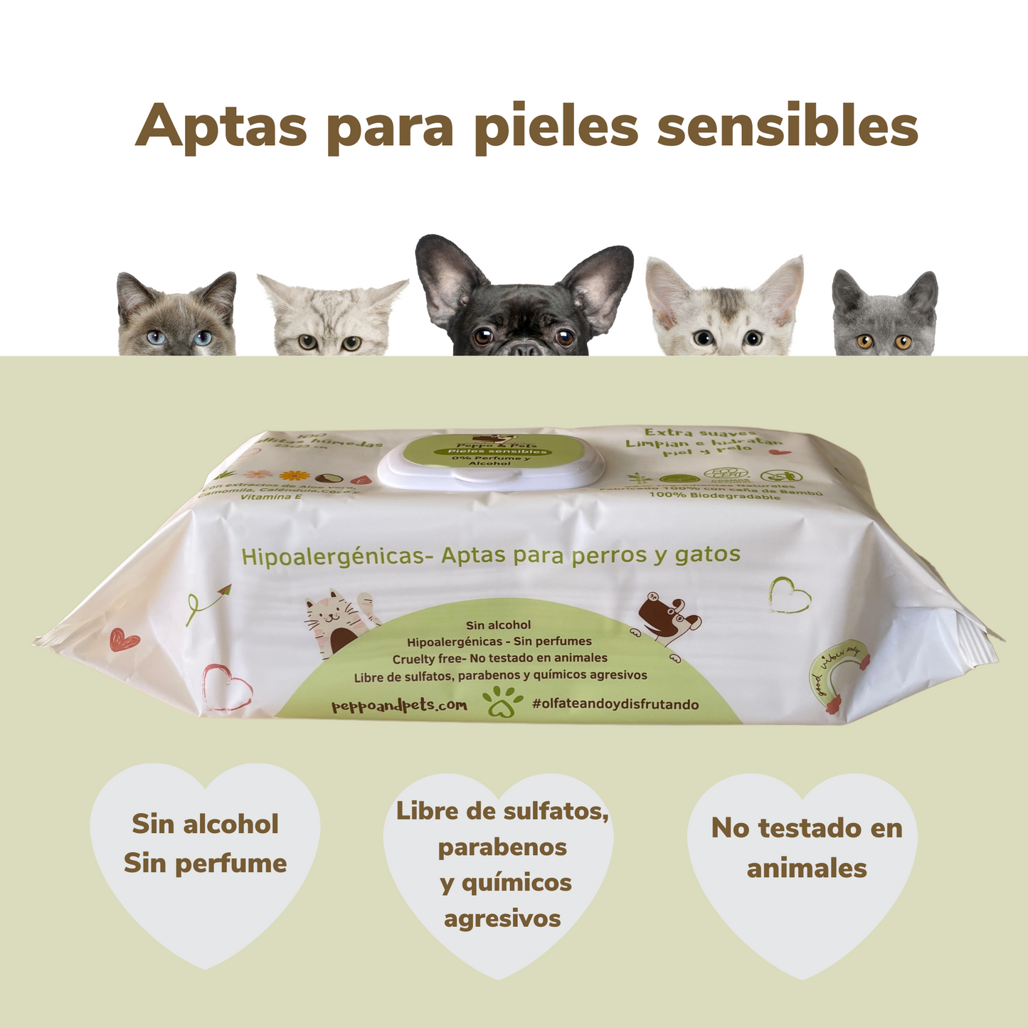 Compostable wet wipes