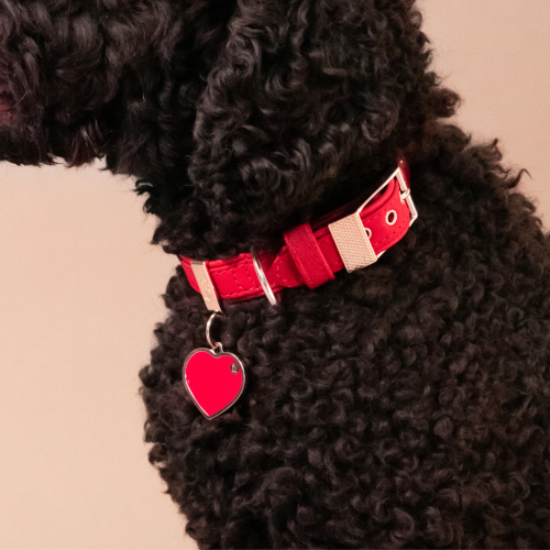 Chapa Myfamily Basic Handmade Corazon Rosa - Tamaño Grande