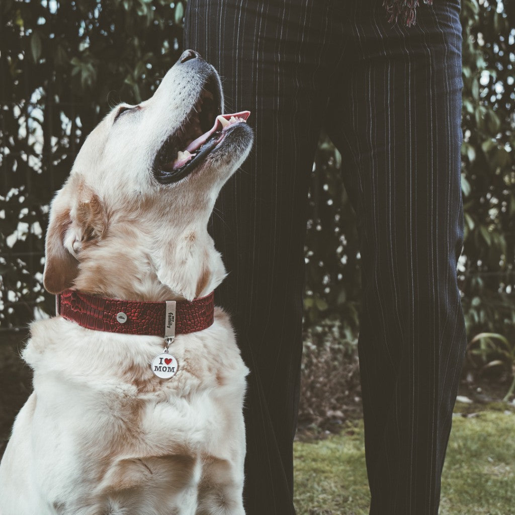 Chapa Myfamily I love Dad- Tamaño pequeño