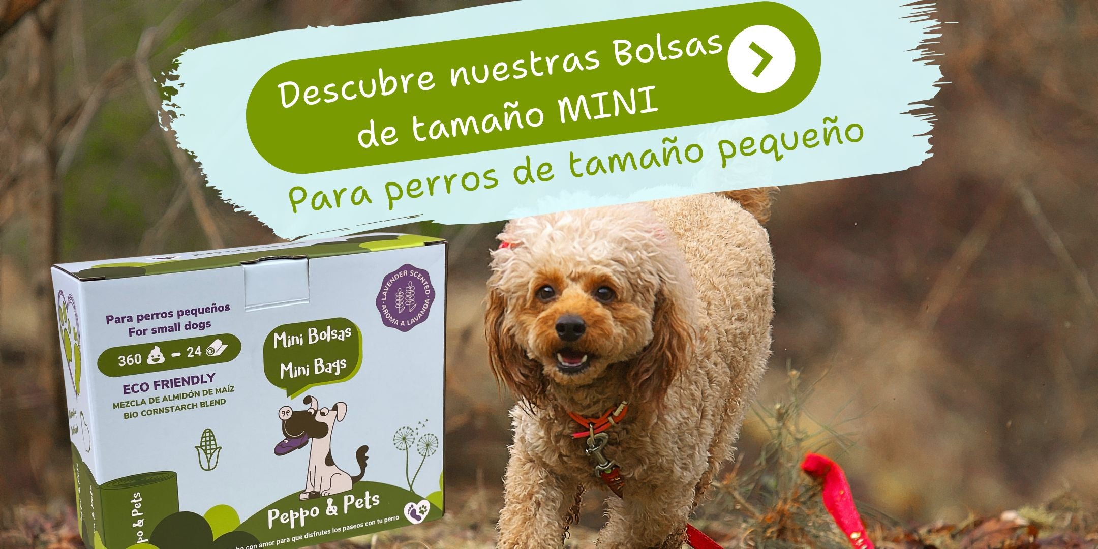 slider image slider_item_DiwVBF