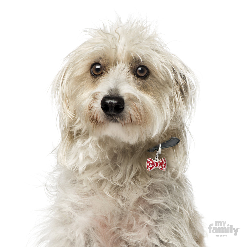 Chapa Myfamily Pajarita Negra - Tamaño pequeño