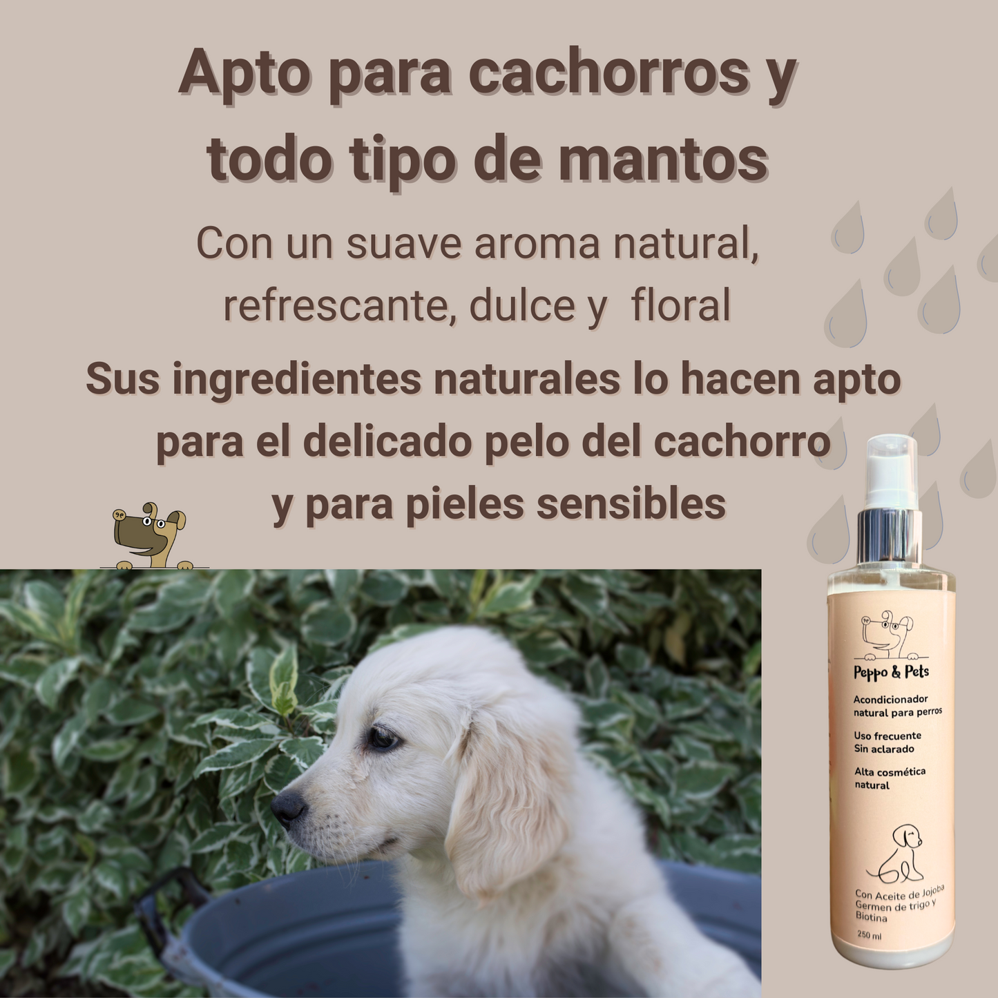 Spray Acondicionador Natural -Sin aclarado -250 ml