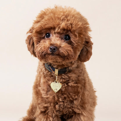 Chapa Myfamily Basic Corazón Latón Plateado- Tamaño pequeño