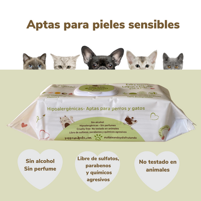 Compostable wet wipes