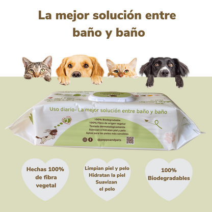 Compostable wet wipes