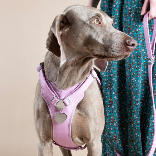 Chapa Myfamily Basic Corazón Latón Plateado- Tamaño Grande