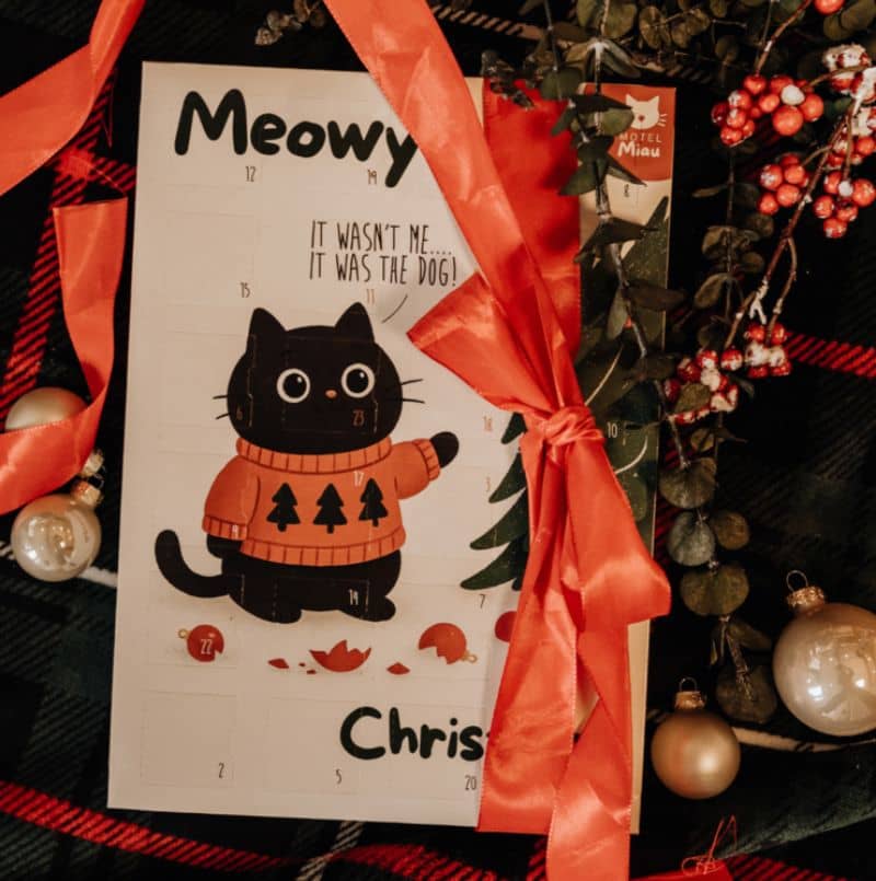 🗓️🎄😺Calendario de Adviento Premium para gatos - Snacks 100% naturales