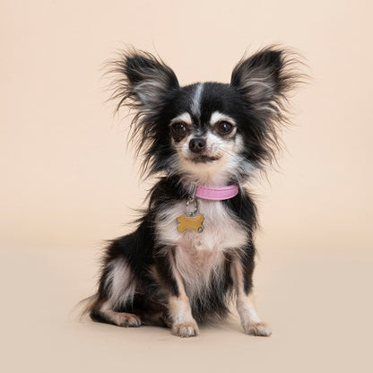 Chapa Myfamily Basic Handmade Hueso Verde Turquesa- Tamaño pequeño