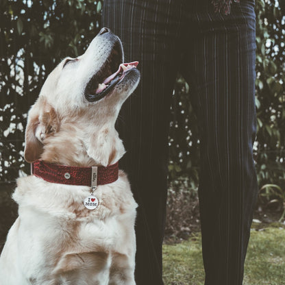 Chapa Myfamily I love Food- Tamaño pequeño