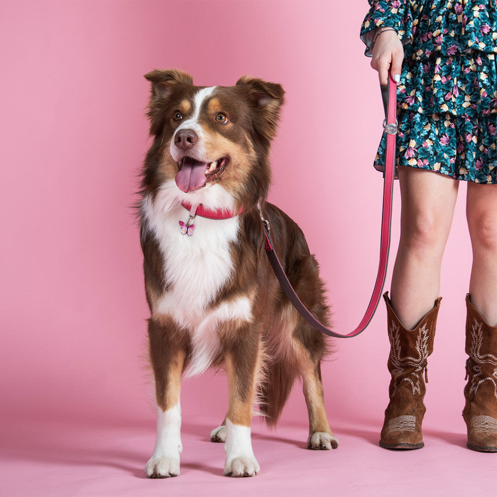 Chapa Myfamily Mariposa