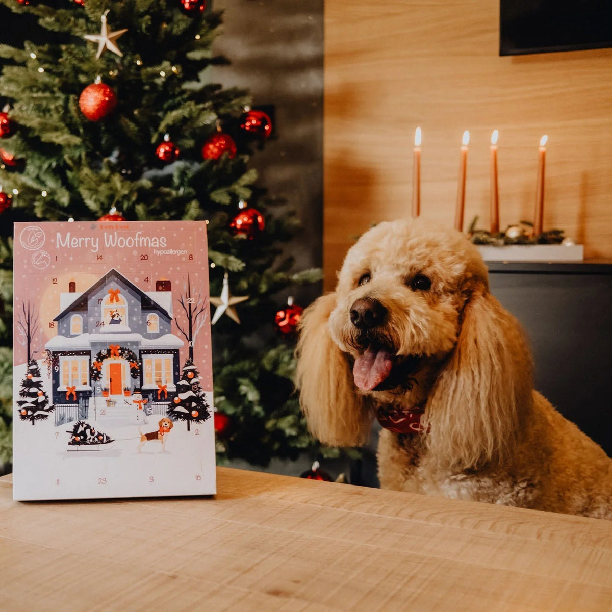 Calendario de Adviento para perros con alergias junto al árbol de Navidad