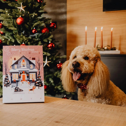 Calendario de Adviento para perros con alergias junto al árbol de Navidad